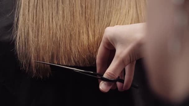 Kuaför kız saç kesimi. 4K ağır çekimde kapatın. Saç uzunluğunu hizala — Stok video