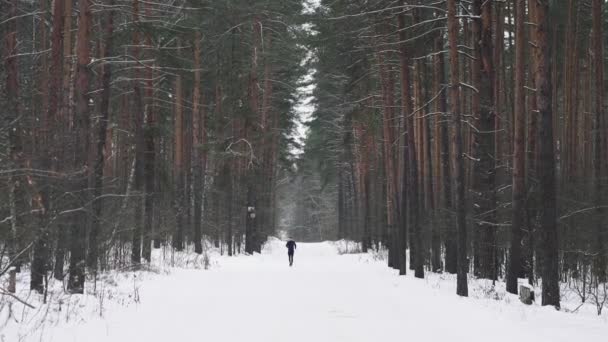 Running Man In Sportswear Workout Before Triathlon. Winter Sports Concept — Stockvideo