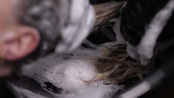 Proceso de lavarse el cabello en una peluquería. Chica en un salón de belleza . — Vídeos de Stock