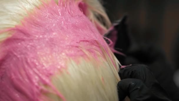 전문적 인 머리 솔 과 염색 뿌리를 사용하여 스타일리스트 손을 클로즈업 한 모습 — 비디오