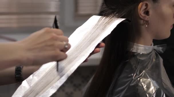 Nettes Mädchen in einem Schönheitssalon auf das Verfahren der Haarfärbung. Luftberührung — Stockvideo