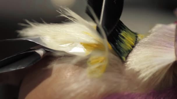 Primo piano delle mani dello stilista con spazzola per capelli professionale e tintura delle radici dei capelli — Video Stock