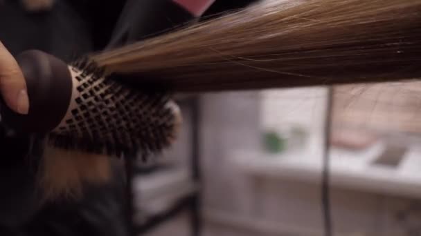 Стилист вытирает длинные каштановые волосы расчёской. Сушка волос в парикмахерской салона — стоковое видео