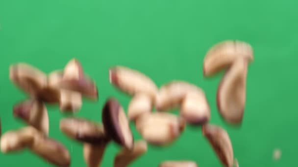 Matlagning hälsosam mat med paranötter. Brasilien nöt flyga upp och ner på en chromakey — Stockvideo