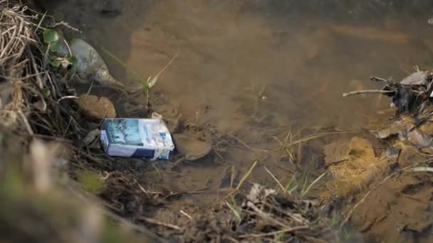 저수지에 있는 쓰레기. 환경 오염. 21 세기의 문제들 — 비디오