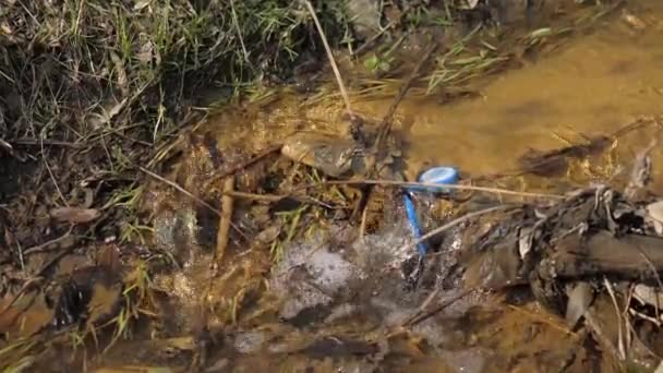 貯水池のゴミ。環境汚染。21世紀の課題 — ストック動画