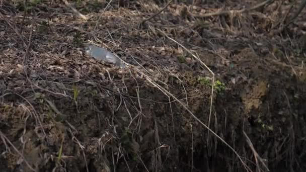 Basura en el bosque. Problemas ecológicos del siglo XXI . — Vídeos de Stock