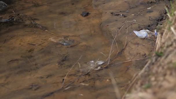 저수지에 있는 쓰레기. 환경 오염. 21 세기의 문제들 — 비디오