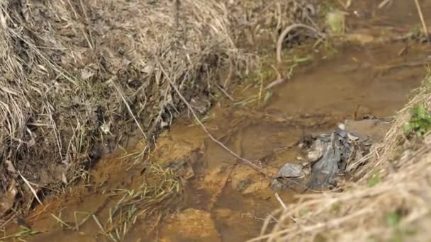 Lixo no reservatório. Poluição ambiental. Problemas do século XXI — Vídeo de Stock