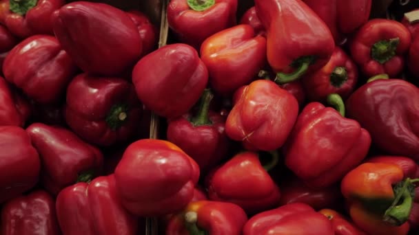 Pimiento rojo en la tienda. Eco pimienta en la tienda productos de cerca . — Vídeo de stock