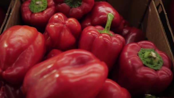 Pimiento rojo en la tienda. Eco pimienta en la tienda productos de cerca . — Vídeos de Stock