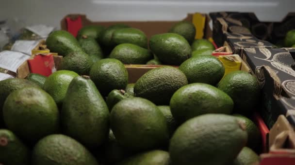 Um abacate maduro na loja. Close-up do produto ecológico . — Vídeo de Stock