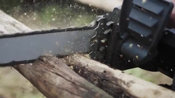 Electric chain saw cutting down a tree. Close-up. Slow the 4K. — Stock Video