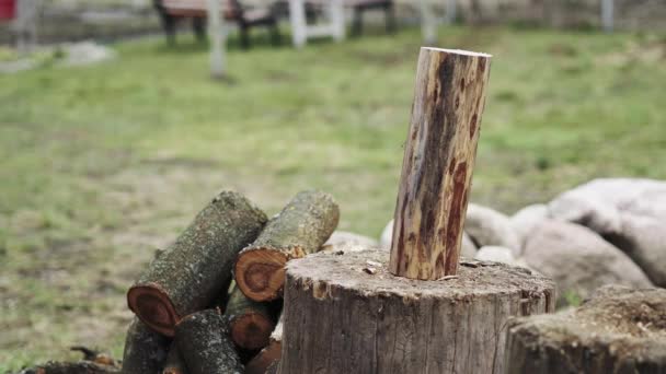 Un hombre está cortando madera con un hacha al aire libre.Corte manual de leña — Vídeos de Stock