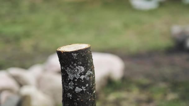 Muž seká dřevo sekerou pod širým nebem.Ruční sekání dříví — Stock video