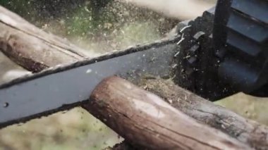 Elektrikli testere bir ağacı kesiyor. Yakın plan. 4K 'yı yavaşlat..