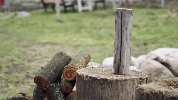 Un hombre está cortando madera con un hacha al aire libre.Corte manual de leña — Vídeos de Stock