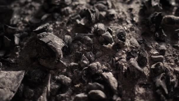 Closeup of coals after a fire. Merciless fire. Natural disaster. Ashes. — Stock Video