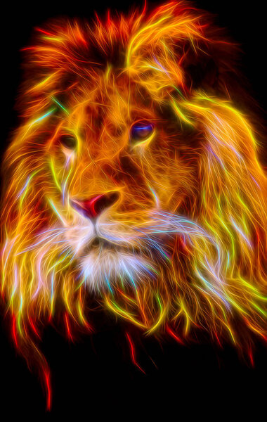 Isolated digital portrait with colorful flames of a mighty african male lion;Isolated portrait of a mighty african male lion