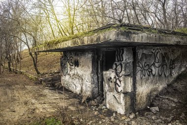 Slovakya 'daki tipik köy manzarası