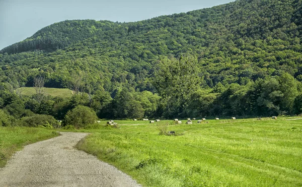 Vuile weg op het midden van een veld in Slowakije — Stockfoto