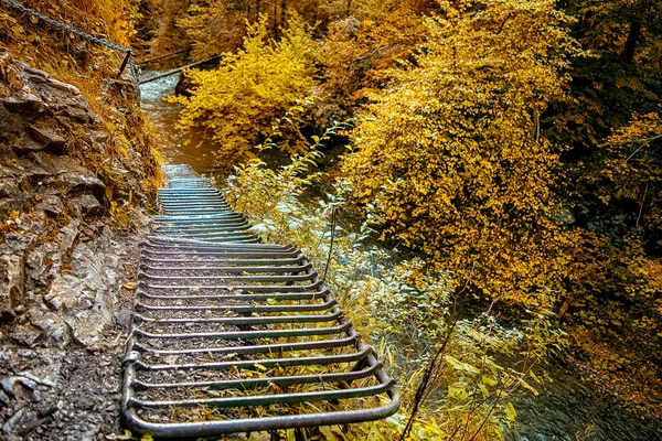 スロバキアのスロバキアの楽園の森の中で秋の時間のアドベンチャートレイル — ストック写真