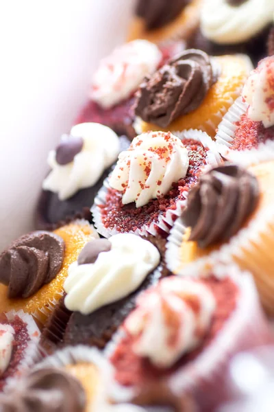 Variedade Cupcakes Feitos Hora Com Diferentes Coberturas Creme — Fotografia de Stock