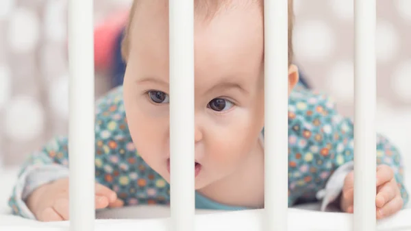 Osm měsíců holčičku v posteli, při pohledu přes mříže Stock Fotografie