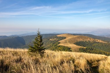 Dağ çimenli sırtı yol