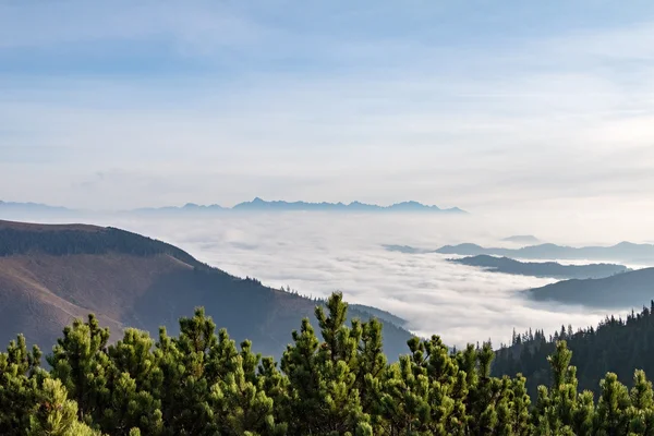 Val weer inversie in bergen - boven de wolken — Stockfoto