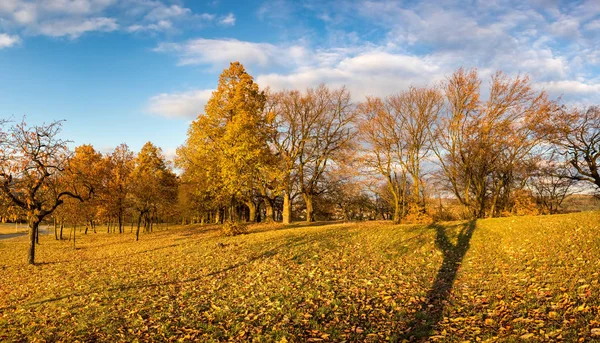 Panoramic view of colorful autumnal landscape with trees — Stock Photo, Image