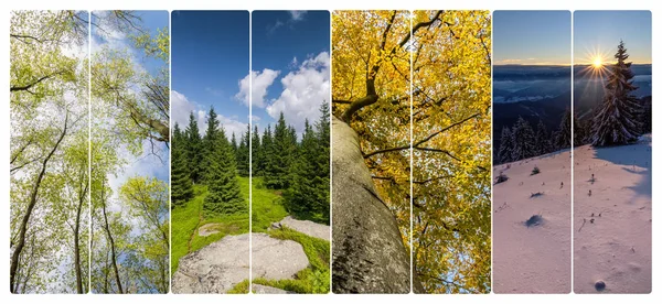 Vier-Jahreszeiten-Collage aus vertikalen Bannern — Stockfoto