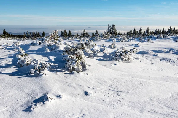 山脊上的冬天 — 图库照片