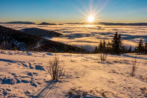 Mountain sunrise above low clouds — Stock Photo, Image
