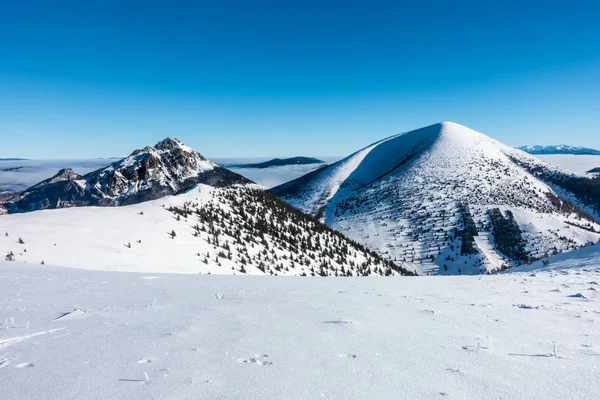 Hiver au parc national des collines de Little Fatra, Slovaquie — Photo