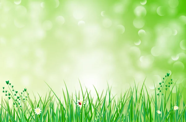 Fundo verde com grama, flores e bokeh borrado — Vetor de Stock
