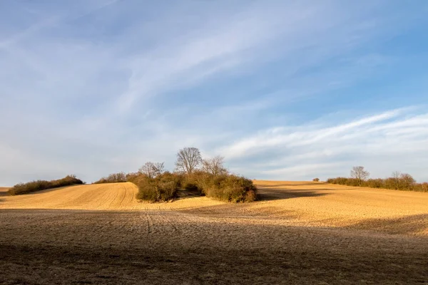 Весенний пейзаж с пастбищами, деревьями и голубым небом — стоковое фото