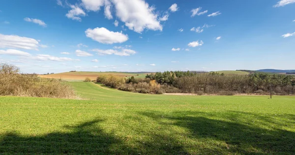 Весенний пейзаж с зелеными лугами — стоковое фото