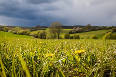 Bahar, yatay, karanlık gökyüzü ve daha önce yağmur ışık