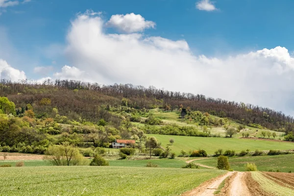 Toprak yol yeşil çayırlar aracılığıyla ile bahar kırsal — Stok fotoğraf