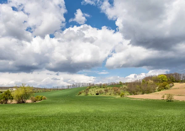 Frühlingslandschaft mit grünen Feldern und blauem Himmel — Stockfoto