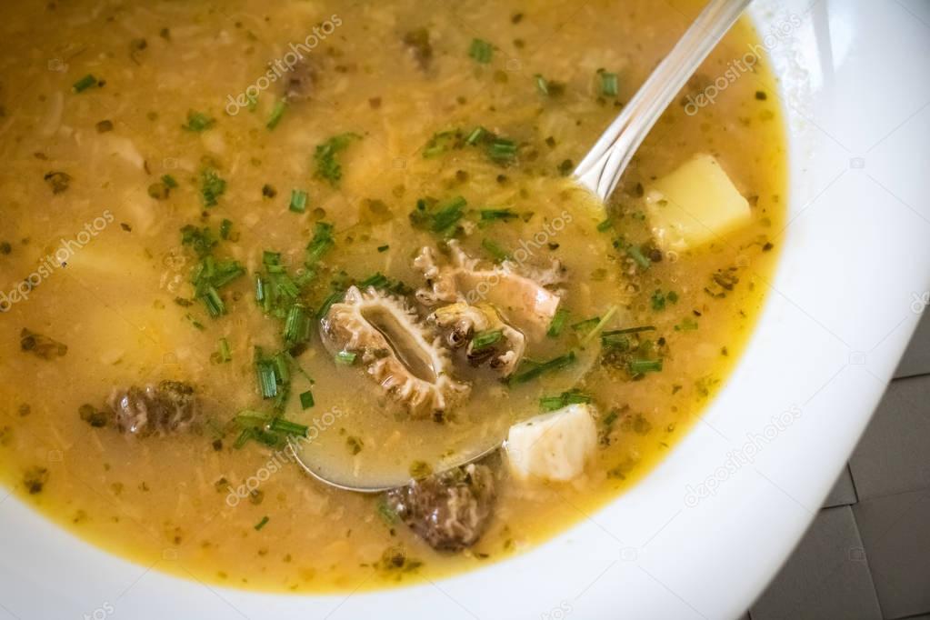 Soup with potatoes and morel mushrooms