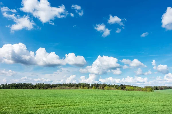 Paesaggio primaverile con prato verde, bosco e cielo blu — Foto Stock