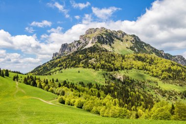 Taşlı büyük Rozsutec tepe ile bahar dağ manzarası