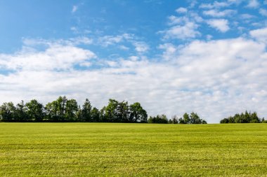 Yaz yeşil çayır ve mavi gökyüzü ile minimalist manzara