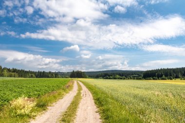 Toprak yol yaz peyzaj alanları ile aracılığıyla