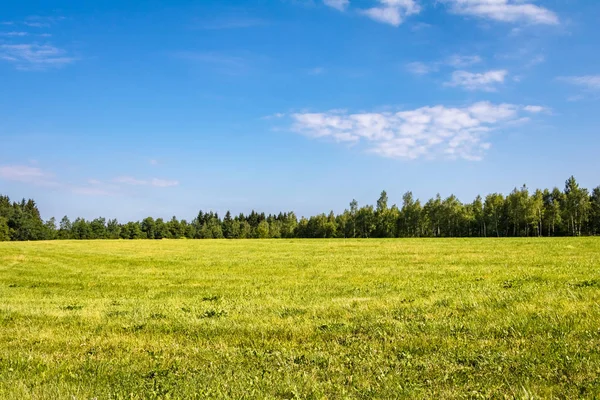 Summer landscape with green meadow, forest and blue sky — Stock Photo, Image