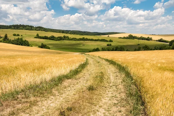 Hermoso campo de verano rural con camino de tierra entre campos — Foto de Stock