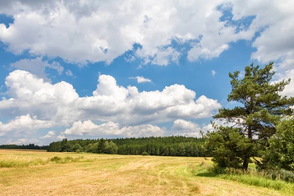 Increíble cielo azul con nubes blancas sobre el paisaje de verano — Foto de Stock