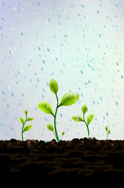 Lluvia cae sobre pequeñas plantas verdes que brotan del suelo — Vector de stock